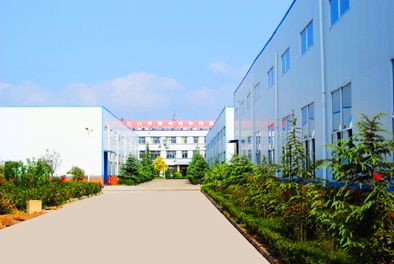 开云真人公司环境1